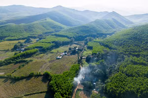 Bản Bình Quang, xã Châu Bình còn 35 hộ sinh sống. Ảnh: Phạm Tâm