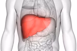 Người bị bệnh gan có thể cần phải hạn chế carbohydrate (carbs) vì lượng carbs cao làm ảnh hưởng đến lượng đường trong máu. Ảnh minh họa: INT