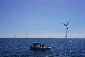 Công nhân đang kiểm tra rong biển và trai tại trang trại gió ngoài khơi Kriegers Flak ở Biển Baltic, Đan Mạch. Ảnh: AP