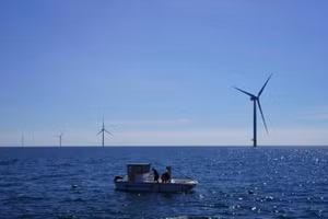 Công nhân đang kiểm tra rong biển và trai tại trang trại gió ngoài khơi Kriegers Flak ở Biển Baltic, Đan Mạch. Ảnh: AP