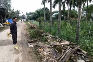 Người dân dọc tuyến đường giao thông nông thôn tại xã Tam Xuân 2 bức xúc khi dự án chỉ thi công vài ngày rồi 'đứng bánh' vì chủ thầu vướng vào vòng lao lý.