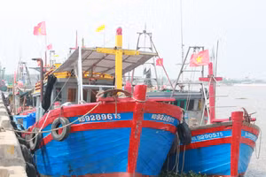 Tàu cá Nam Định có chiều dài từ 15m trở lên đều được cập bến tại Cảng cá Ninh Cơ (thị trấn Thịnh Long, Hải Hậu).
