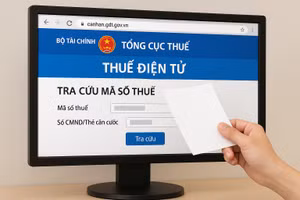 Người dân cần có thói quen kiểm tra mã số thuế hoặc kê khai thu nhập thường xuyên. Ảnh minh họa: INT