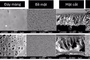Ảnh chụp SEM các vị trí của màng lọc thẩm thấu trước và sau khi cải tiến.