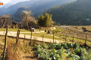 Cảnh phim 'Thung lũng hoang vắng' (năm 2001).