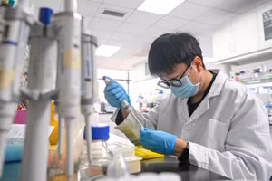 Các nhân tài ở Mỹ đang 'đầu quân' cho Trung Quốc.