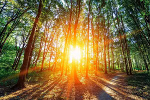 Các nhà khoa học đang tìm cách dùng ánh nắng Mặt trời để thu giữ CO₂.