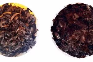 Thử nghiệm phân giải thân chuối bằng vi khuẩn Bacillus megaterium H3.