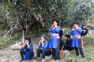 Người Cơ Lao với thú vui độc đáo - thổi hồn vào thiên nhiên.