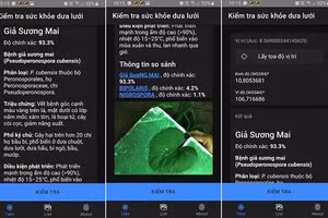 Một mẫu kết quả phân tích từ hệ thống trí tuệ nhân tạo được phát triển.