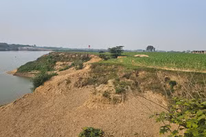 Hàng nghìn m2 đất canh tác bị 'hà bá'… 'nuốt'.