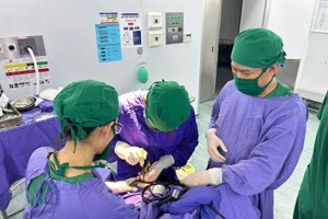 Các bác sĩ thực hiện lấy dị vật và xử trí tổn thương não cho bệnh nhân. Ảnh: BVCC