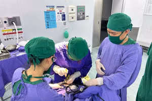 Các bác sĩ thực hiện lấy dị vật và xử trí tổn thương não cho bệnh nhân. Ảnh: BVCC