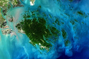 Việt Nam sở hữu vùng biển và hải đảo với đa dạng sinh học phong phú nhưng vẫn còn nhiều bí ẩn chưa được khám phá. Ảnh: INT