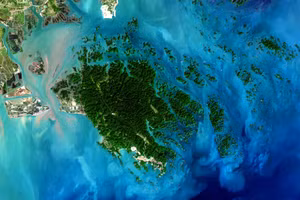 Việt Nam sở hữu vùng biển và hải đảo với đa dạng sinh học phong phú nhưng vẫn còn nhiều bí ẩn chưa được khám phá. Ảnh: INT