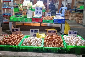 Giá trứng hồi giữa tháng 4/2025 ở nhiều chợ truyền thống còn đạt mức giá tới 2.800 - 3.000 đồng/trứng. Ảnh: Q.H