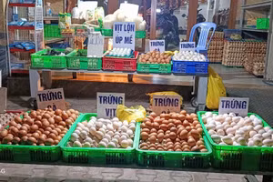 Giá trứng hồi giữa tháng 4/2025 ở nhiều chợ truyền thống còn đạt mức giá tới 2.800 - 3.000 đồng/trứng. Ảnh: Q.H