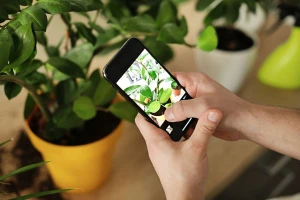 Nhận diện các loài dược liệu bằng phần mềm giúp tăng cao độ chính xác.