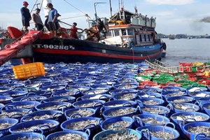 Xuất khẩu thủy sản tìm giải pháp duy trì đà tăng trưởng đạt mục tiêu đề ra. Minh họa: ITN
