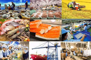 Nhiều nhóm ngành bị ảnh hưởng bởi chính sách thuế mới của Tổng thống Trump. Ảnh: ITN