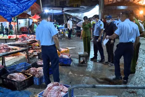 Lực lượng chức năng phát hiện đường dây giết mổ lợn chết, lợn bệnh quy mô lớn ở Hà Nội.