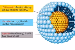Hệ vi bao Curcumin bằng Fucoidan chiết từ rong nâu và Saponin Notoginseng chiết từ tam thất.