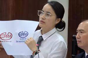 Vụ kiện giữa Công ty Cổ phần Nhựa Bình Minh và Công ty Cổ phần Nhựa Bình Minh Việt là một trong những vụ tranh chấp sở hữu trí tuệ tiêu biểu trong thời gian qua.