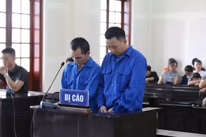 Bị cáo Trần Hải (trái) và Lưu Xuân Tâm tại phiên tòa sơ thẩm.