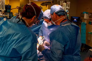 Bác sĩ thực hiện ca ghép thận lợn biến đổi gen vào người sống đầu tiên trên thế giới tại Bệnh viện Đa khoa Massachusetts. Ảnh: Massachusetts General Hospital