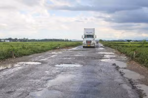 Đường ĐH20 đoạn qua xã Thiên Nhẫn, tỉnh Nghệ An.