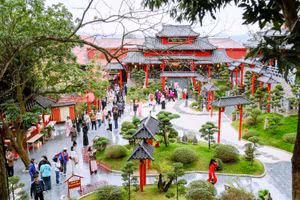 Chùa Cây Thị gắn liền với truyền thuyết về cây thị cổ thụ hàng trăm năm tuổi. Ngôi chùa đã trải qua nhiều thăng trầm lịch sử và được trùng tu năm 2019, mang một diện mạo mới khang trang và thanh tịnh.