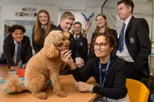 Học sinh thích giao lưu với chó trị liệu Teddy.