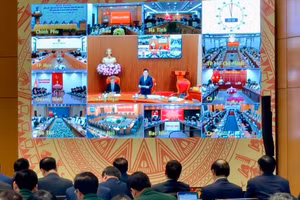 Các địa phương tham gia phát biểu bằng hình thức trực tuyến. Ảnh: VGP