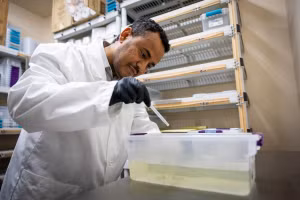 Cơ sở nhân giống ruồi triệt sản.