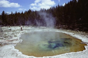Ông Thomas Brock đứng cạnh suối Mushroom Spring ở Vườn quốc gia Yellowstone năm 1967. Ảnh: Thomas Brock/USGS