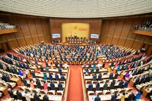 Minh họa/INT