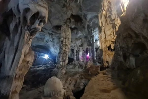 Những nhũ đá tự nhiên sừng sững trong hang động.