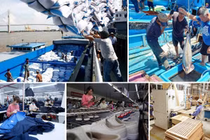 Dư địa chính sách và những cải cách đang được triển khai có thể giúp Việt Nam duy trì đà tăng trưởng. Ảnh minh họa: INT