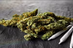 Các chất kích thích như ma túy, cỏ Mỹ là một phần nguyên nhân nảy sinh những quan hệ tình một đêm. Ảnh: ITN