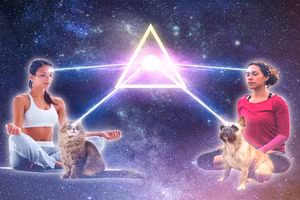 Chó và mèo được cho là có khả năng giao tiếp ngoại cảm tốt với con người.