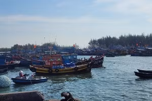 Tàu khai thác cá cơm của ngư dân vùng ven biển TPHCM không thể ra khơi vì giấy phép khai thác mới. 