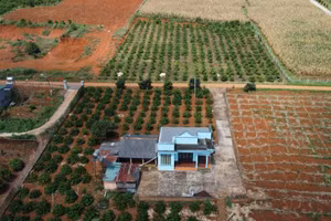 Người dân cho rằng tiền sử dụng đất phải nộp khi chuyển đổi mục đích sử dụng đất nông nghiệp sang đất ở quá cao.