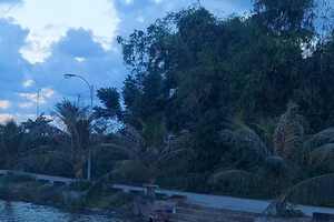 Dáng nội ngồi bên cầu ao đợi cháu con trở về vẫn mãi còn đó. Ảnh minh họa: Bình Thanh