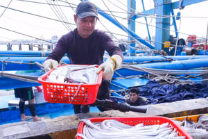 Những mẻ cá, mực tươi được vận chuyển từ thuyền đánh cá sau chuyến đi biển đầu Xuân.