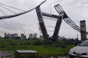 Hiện trạng dự án Khu Trung tâm thương mại và dân cư Cầu Sến là bãi đất hoang cây, cỏ mọc um tùm.