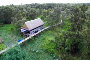 Mùa nước nổi, từ tháng 8 - 11, là thời điểm đẹp nhất để trải nghiệm vẻ đẹp rừng tràm. Muốn quan sát toàn cảnh, du khách có thể leo lên lầu vọng cảnh, sử dụng kính viễn vọng ngắm chim bay lượn.