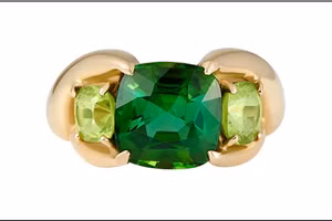 Chiếc nhẫn của hãng Ouroboros bằng vàng 18 carat với đệm bằng đá tourmaline Afghanistan. Ảnh: Ouroboros