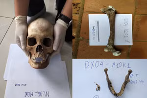 Mẫu xương khảo cổ được khai quật tại Động Xá (Hưng Yên).