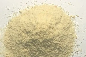 Sản phẩm trà hòa tan từ đinh lăng lá nhỏ.