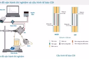 Sơ đồ lọc nước loại bỏ kim loại bằng điện cực CDI.